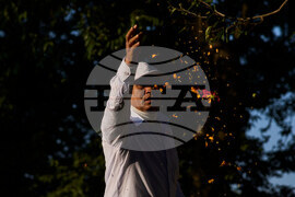 Nepal Hindu Festival