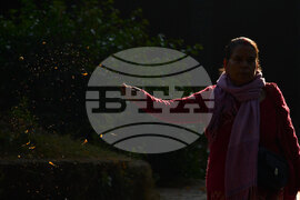 Nepal Hindu Festival