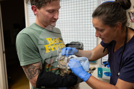 Utah Owl Recovery