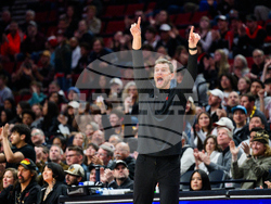 Suns Trail Blazers Basketball