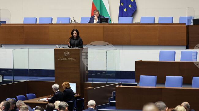 Държавният бюджет за догодина, както и проектобюджетите на ДОО и на НЗОК влизат тази седмица в пленарната зала на първо четене