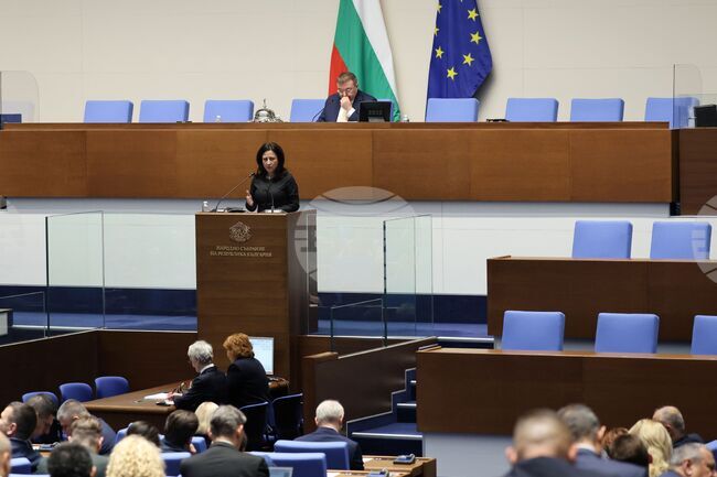 Държавният бюджет за догодина, както и проектобюджетите на ДОО и на НЗОК, влизат тази седмица в пленарната зала на първо четене