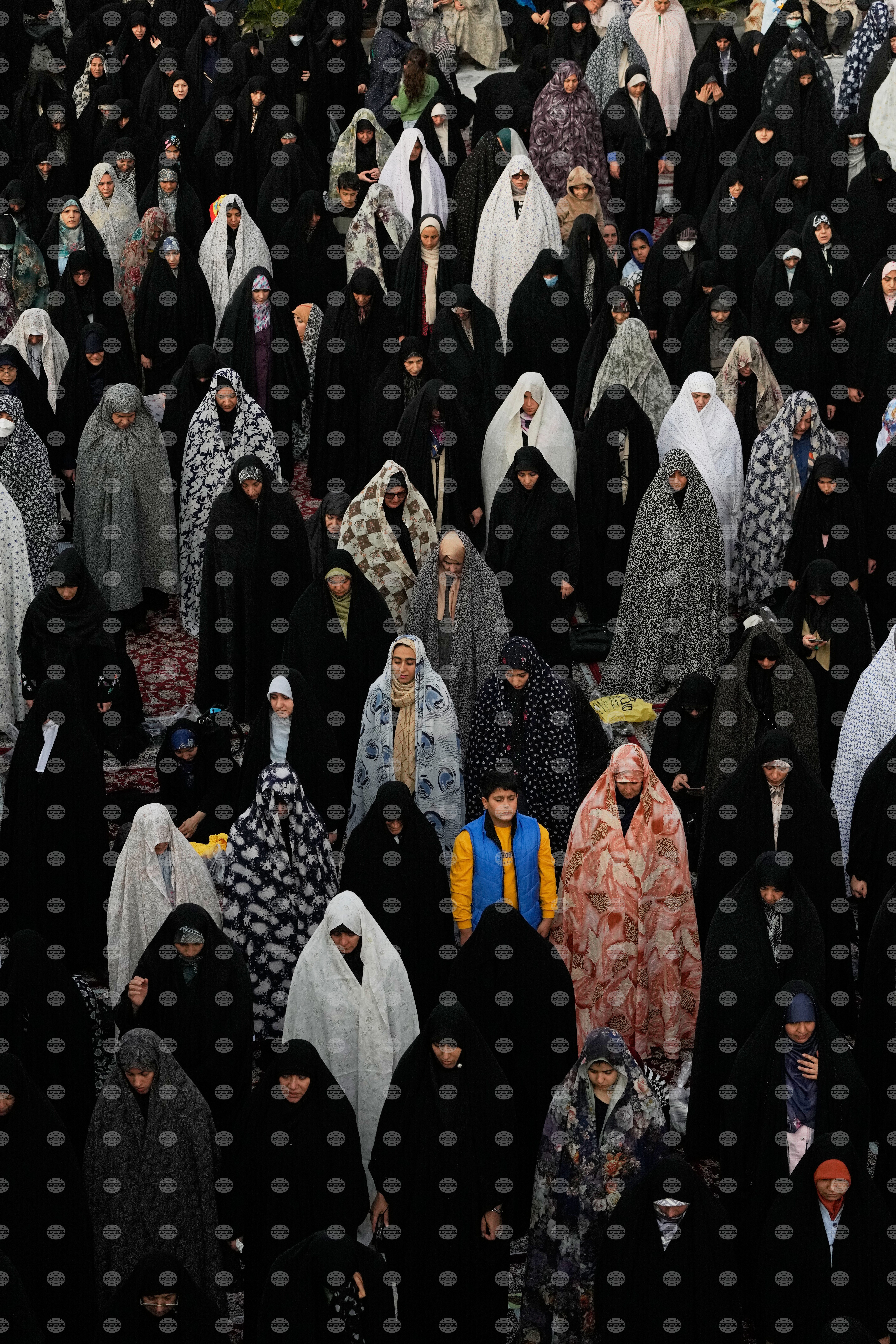 Top Vertical Photos Photo Gallery