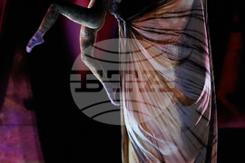 Top Vertical Photos Photo Gallery