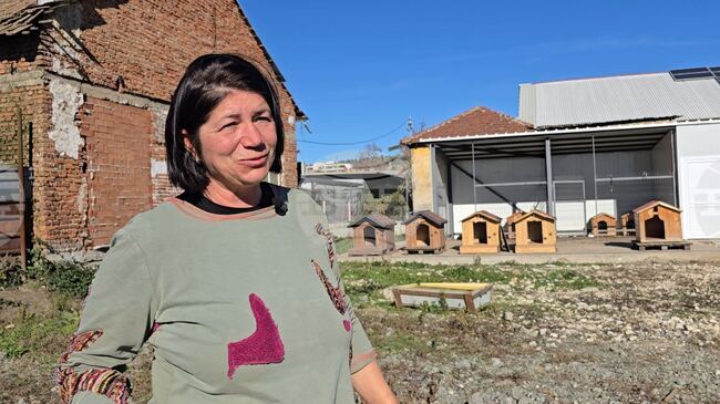 Доброволци в Панагюрище помагат на Общината за грижата за бездомни животни