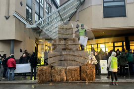 Belgium Climate Trial