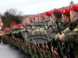 Село Гургулят - Сухопътни войски - празник - годишнина