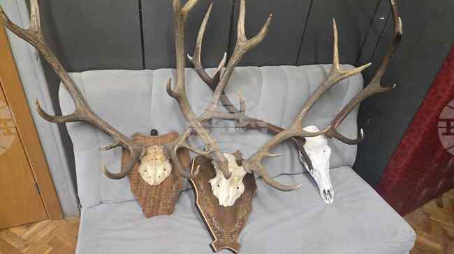 Двама мъже са задържани по подозрение в бракониерство в Тетевенско