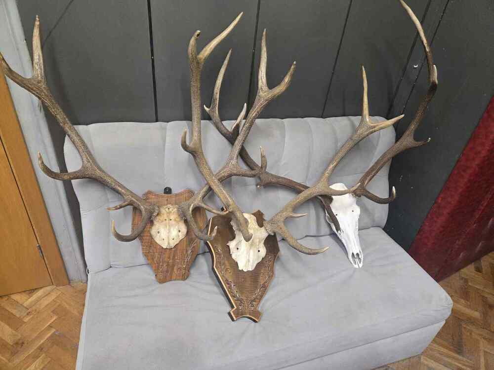 Двама мъже са задържани по подозрение в бракониерство в Тетевенско