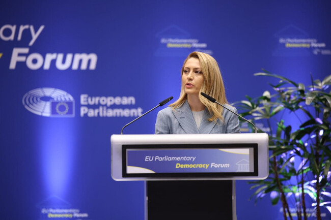 National Assembly Chair in Brussels: Fear of Future Is Biggest Threat to Democracy