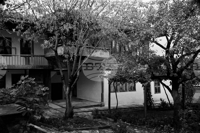 БТА: ОТ АРХИВИТЕ