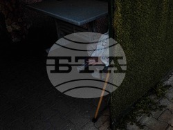 DOT Sofia Art Collection ще покаже изложбата СПИРКА СОФИЯ: “ПАЗАРНИ ДНИ”