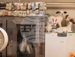 DOT Sofia Art Collection ще покаже изложбата СПИРКА СОФИЯ: “ПАЗАРНИ ДНИ”