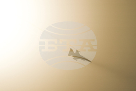 Emirates Dubai Air Show