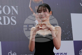 South Korea Blue Dragon Film Awards