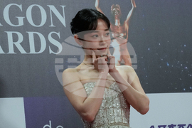 South Korea Blue Dragon Film Awards