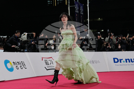 South Korea Blue Dragon Film Awards