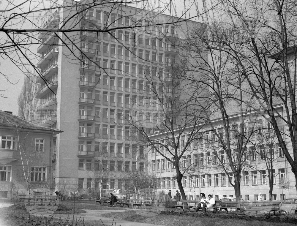 Observances: November 20