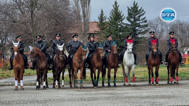 С традиционни демонстрации и състезания столичната конна полиция и жителите на кв. "Бенковски" отбелязаха Тодоровден