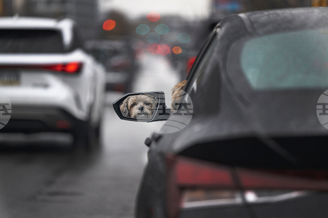 Philadelphia Daily Life