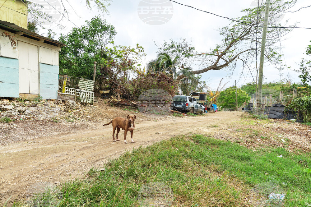 Humane World for Animals aids Jamaica communities post-Hurricane