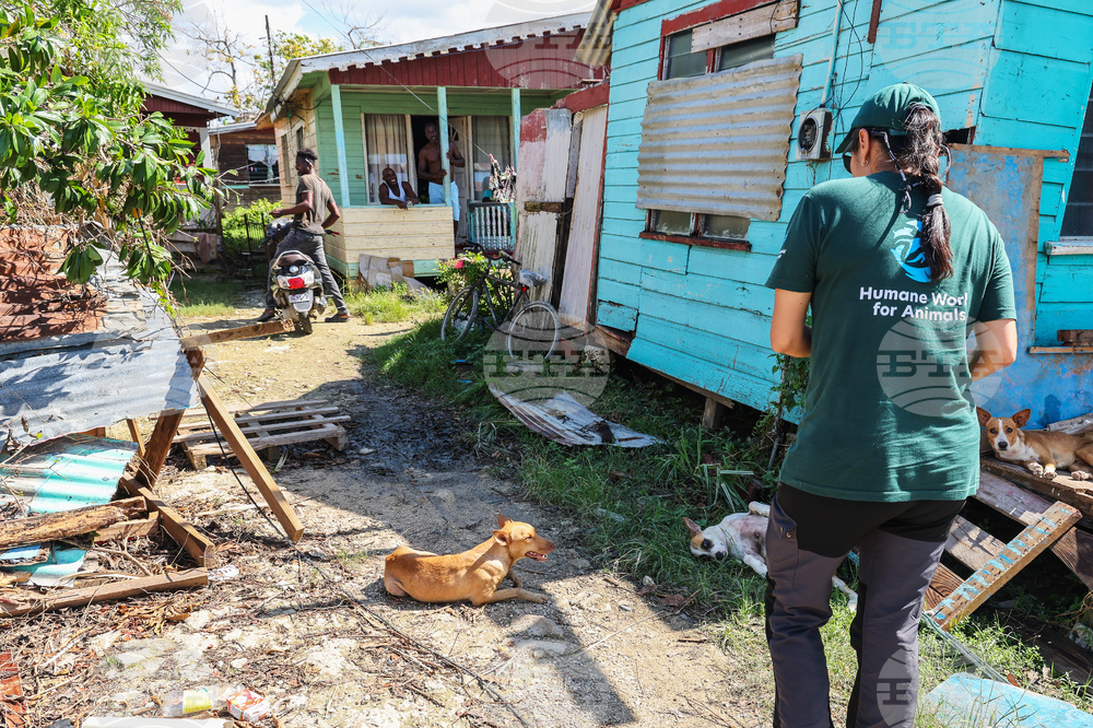 Humane World for Animals aids Jamaica communities post-Hurricane