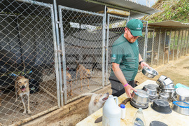 Humane World for Animals aids Jamaica communities post-Hurricane