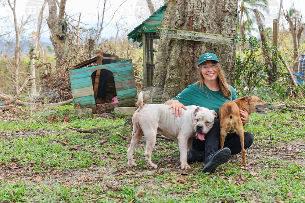 Humane World for Animals aids Jamaica communities post-Hurricane