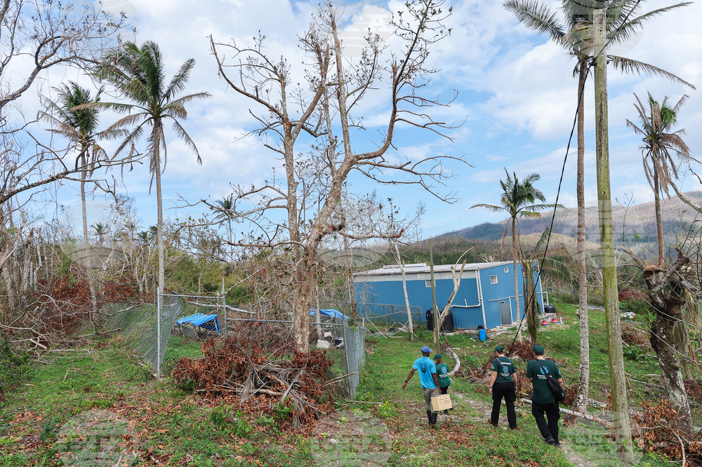 Humane World for Animals aids Jamaica communities post-Hurricane