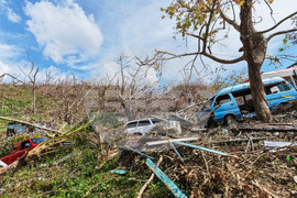 Humane World for Animals aids Jamaica communities post-Hurricane Melissa