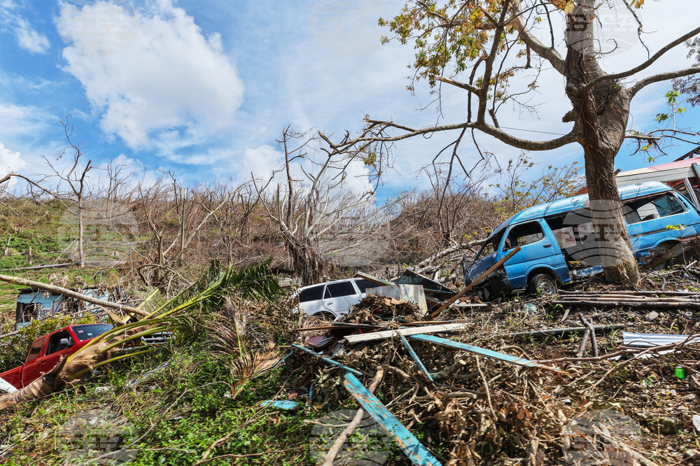 Humane World for Animals aids Jamaica communities post-Hurricane Melissa