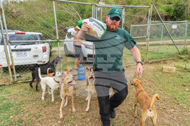 Humane World for Animals aids Jamaica communities post-Hurricane Melissa