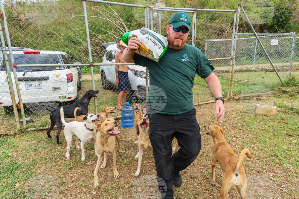 Humane World for Animals aids Jamaica communities post-Hurricane Melissa