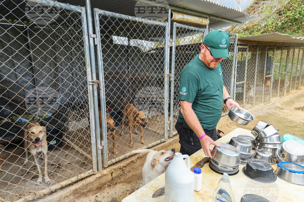 Humane World for Animals aids Jamaica communities post-Hurricane Melissa