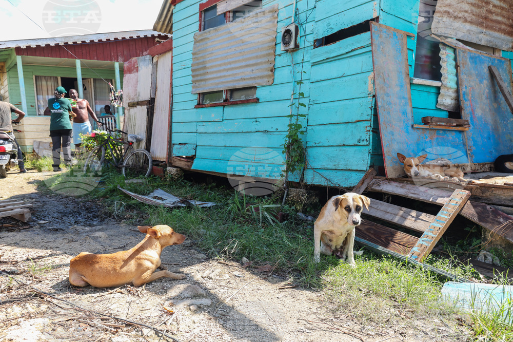 Humane World for Animals aids Jamaica communities post-Hurricane Melissa