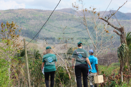 Humane World for Animals aids Jamaica communities post-Hurricane Melissa