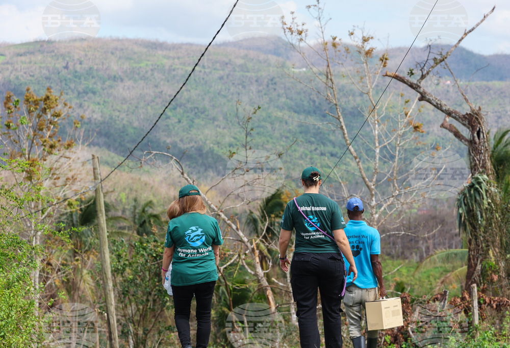 Humane World for Animals aids Jamaica communities post-Hurricane Melissa