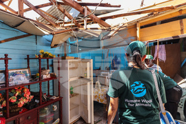 Humane World for Animals aids Jamaica communities post-Hurricane Melissa