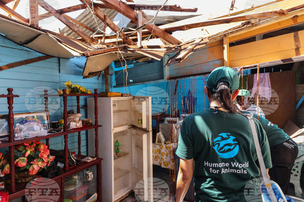 Humane World for Animals aids Jamaica communities post-Hurricane Melissa