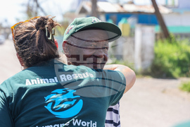 Humane World for Animals aids Jamaica communities post-Hurricane Melissa