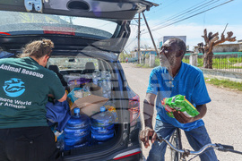 Humane World for Animals aids Jamaica communities post-Hurricane Melissa