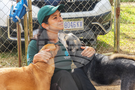 Humane World for Animals aids Jamaica communities post-Hurricane Melissa