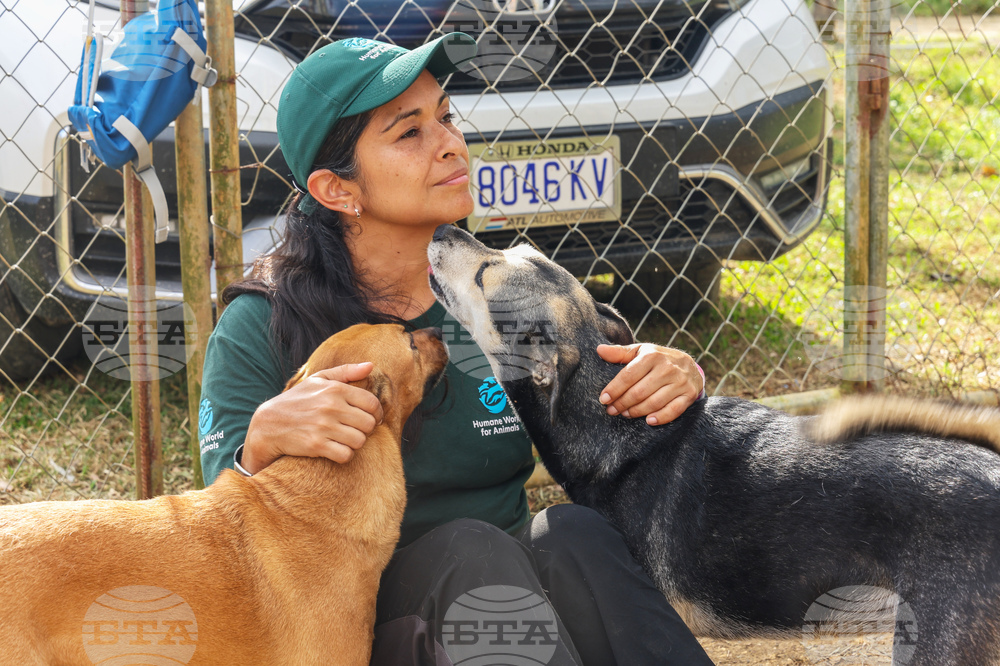 Humane World for Animals aids Jamaica communities post-Hurricane Melissa