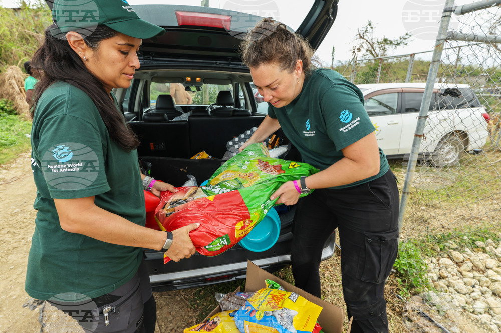 Humane World for Animals aids Jamaica communities post-Hurricane Melissa