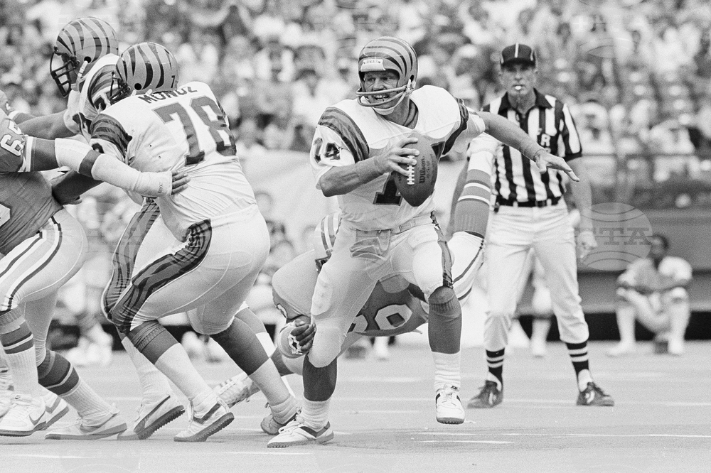 Hall of Fame Seniors Football