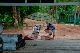 Climate COP30 Slave Descendants