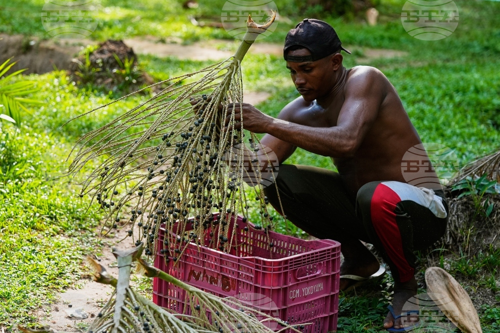 Climate COP30 Slave Descendants
