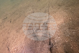 Ancient Canoes Parking Lot