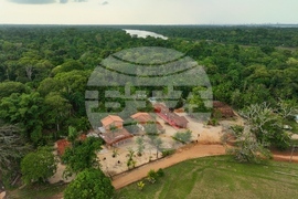 Climate COP30 Slave Descendants