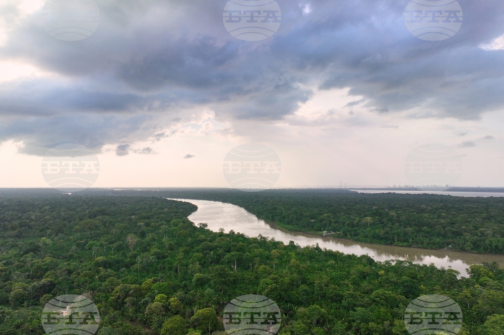 Climate COP30 Slave Descendants